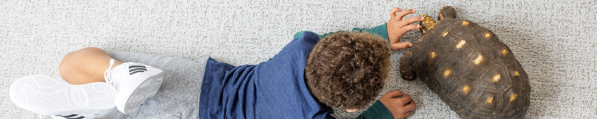 What Floorida Floors the BEST Choice for Flooring? Floorida Floors flooring associates will help you select the perfect flooring for your particular application.