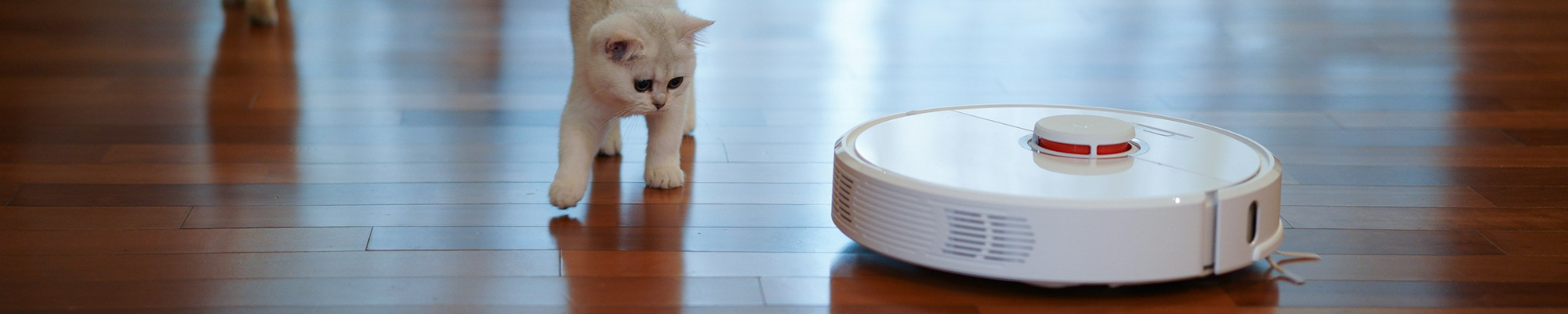 Cleaning pet friendly laminate floor with a robot vacuum