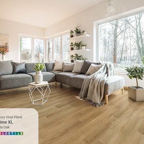 LookBook-LVP-PrimeXL