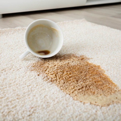 carpet_cleaning5_1600x1600-1-1536x1536 (1) Carpet cleaning tips | Floorida Floors