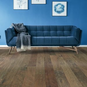 Blue colorwall | Floorida Floors